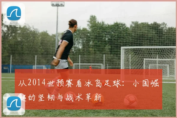 从2014世预赛看冰岛足球：小国崛起的坚韧与战术革新