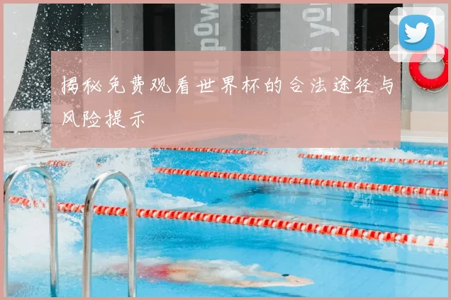 揭秘免费观看世界杯的合法途径与风险提示