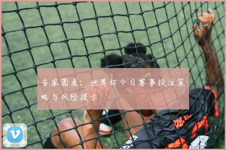 专家圆桌:世界杯今日赛事投注策略与风险提示