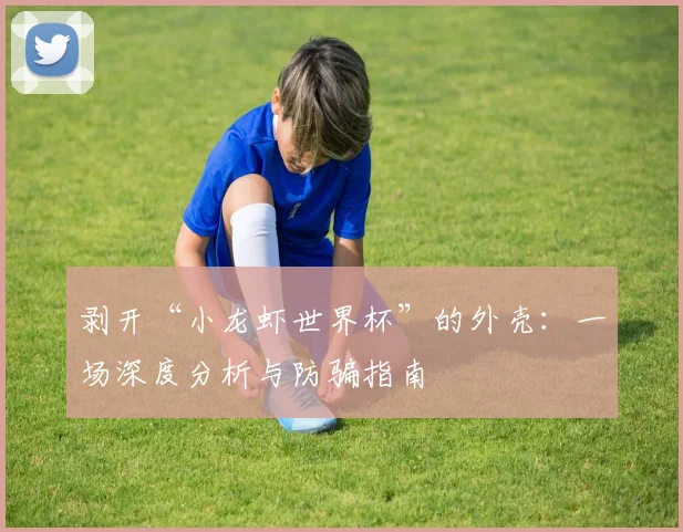 剥开“小龙虾世界杯”的外壳:一场深度分析与防骗指南
