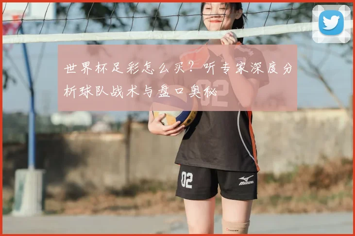 世界杯足彩怎么买？听专家深度分析球队战术与盘口奥秘