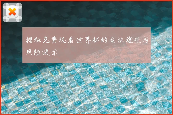 揭秘免费观看世界杯的合法途径与风险提示