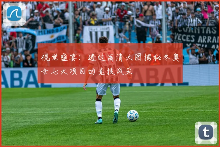 视觉盛宴：透过高清大图揭秘冬奥会七大项目的竞技风采