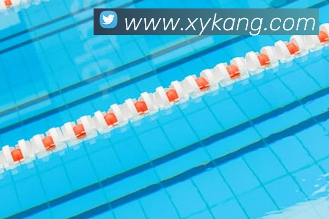 开云手机在线登录官网发展历程